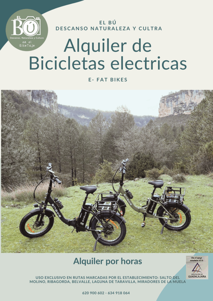 E-Bikes